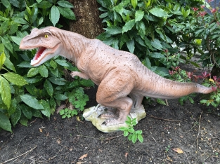 Dinosaurier, schöne Statue eines Tyrannosaurus